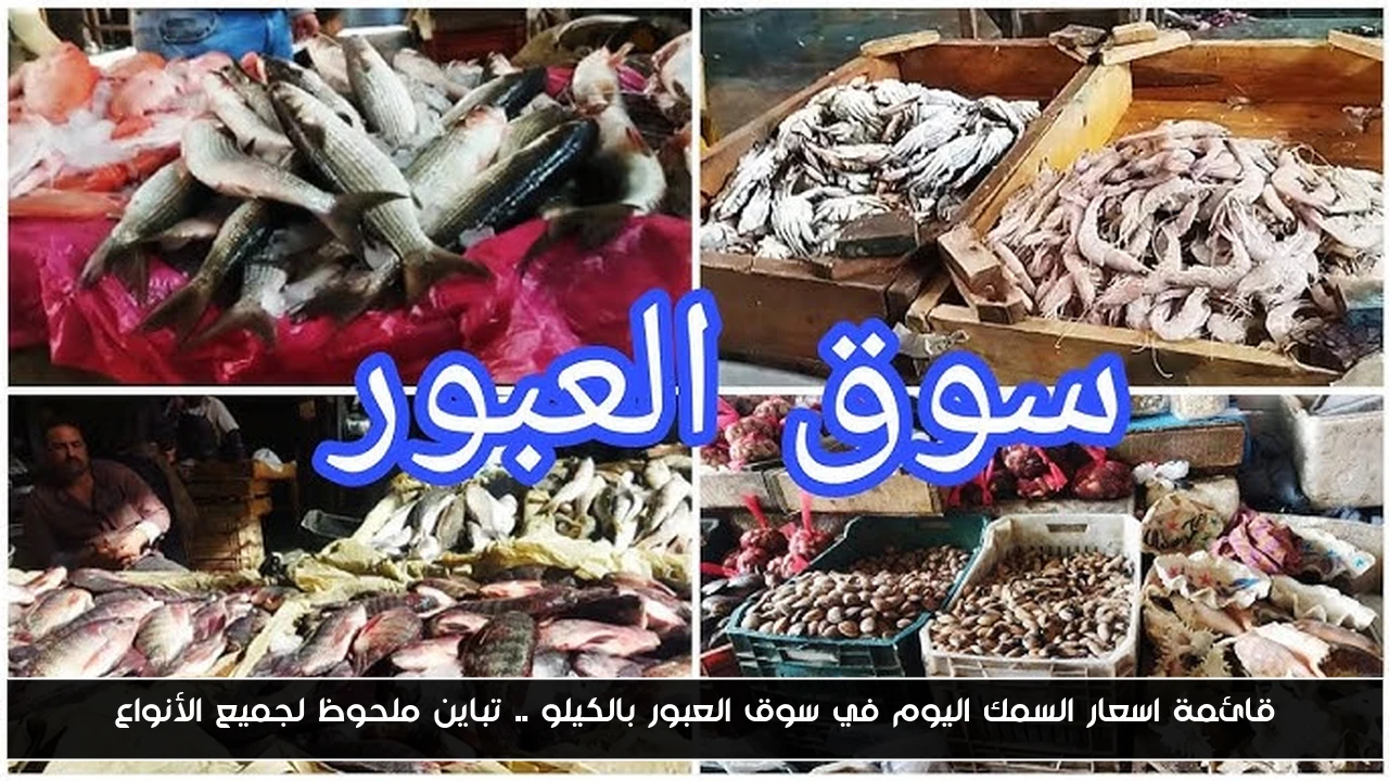 قائمة اسعار السمك اليوم في سوق العبور بالكيلو .. تباين ملحوظ لجميع الأنواع