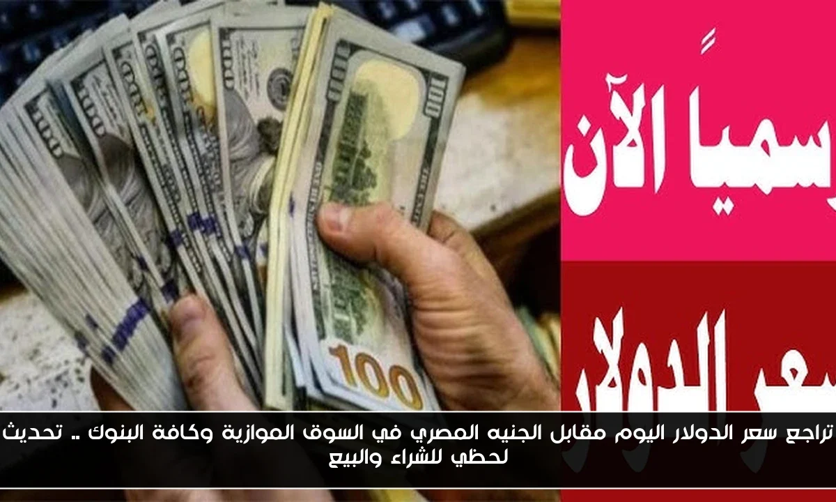 تراجع سعر الدولار اليوم مقابل الجنيه المصري في السوق الموازية وكافة البنوك .. تحديث لحظي للشراء والبيع