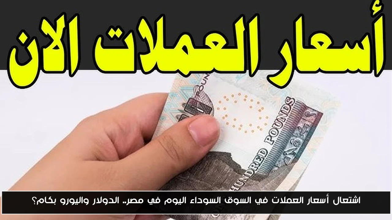 اشتعال أسعار العملات في السوق السوداء اليوم في مصر.. الدولار واليورو بكام؟