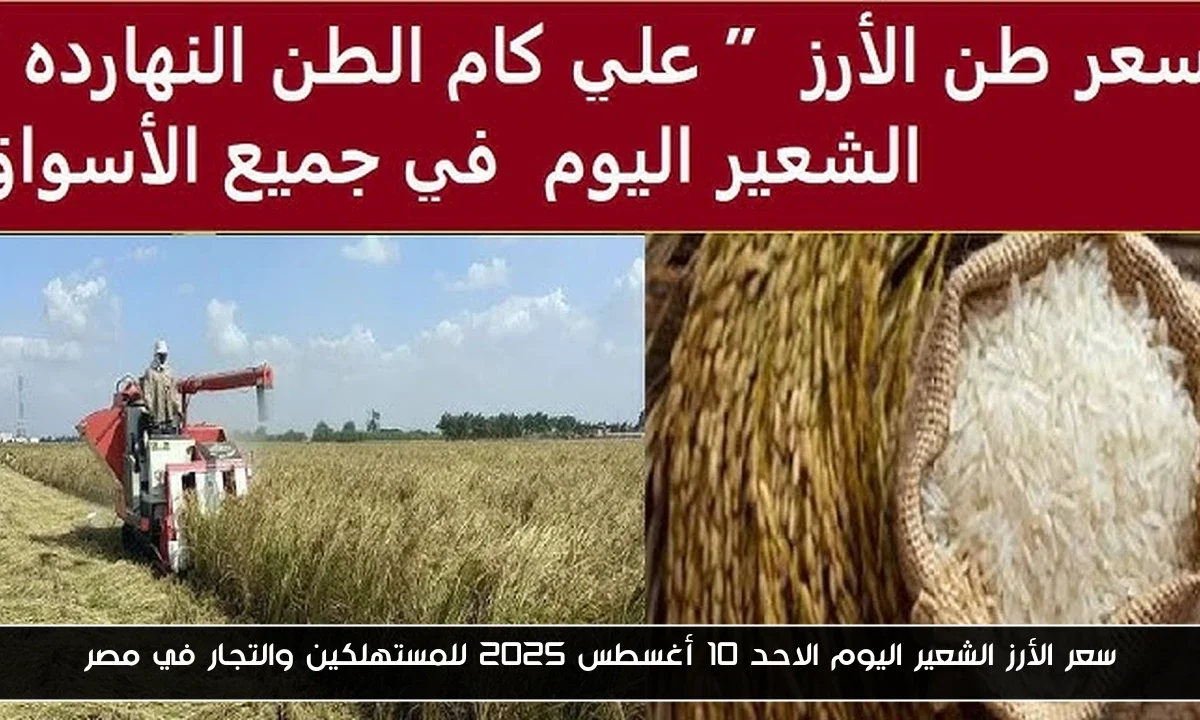 سعر الأرز الشعير اليوم الاحد 10 أغسطس 2025 للمستهلكين والتجار في مصر