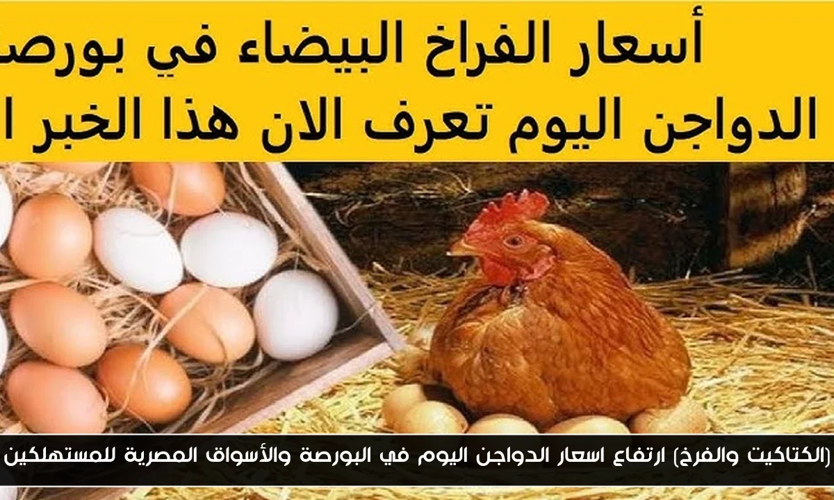 (الكتاكيت والفرخ) ارتفاع اسعار الدواجن اليوم في البورصة والأسواق المصرية للمستهلكين