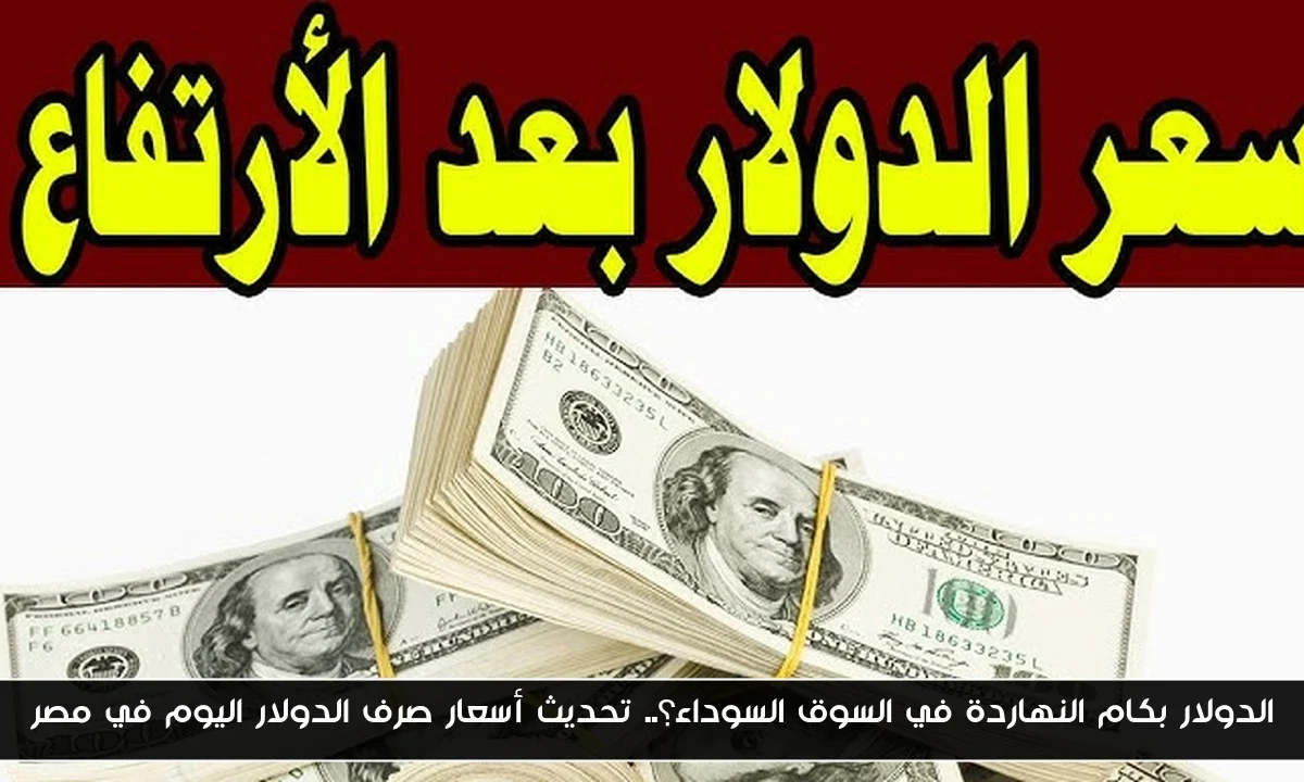 الدولار بكام النهاردة في السوق السوداء؟.. تحديث أسعار صرف الدولار اليوم في مصر