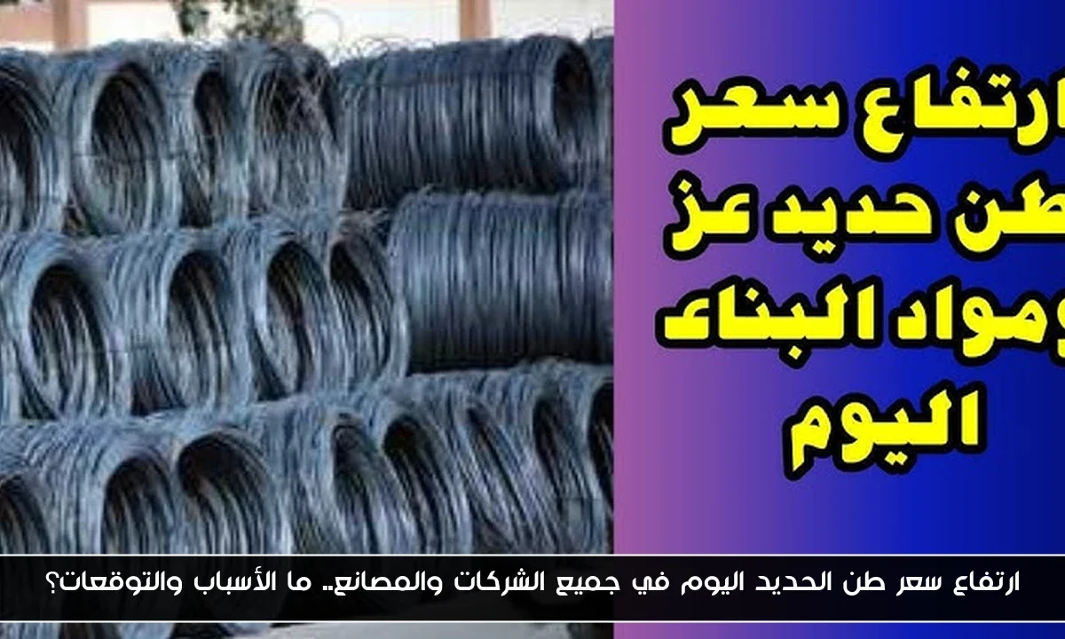 ارتفاع سعر طن الحديد اليوم في جميع الشركات والمصانع.. ما الأسباب والتوقعات؟