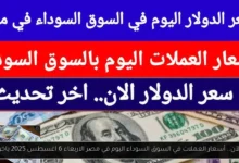 أسعار العملات في السوق السوداء اليوم في مصر