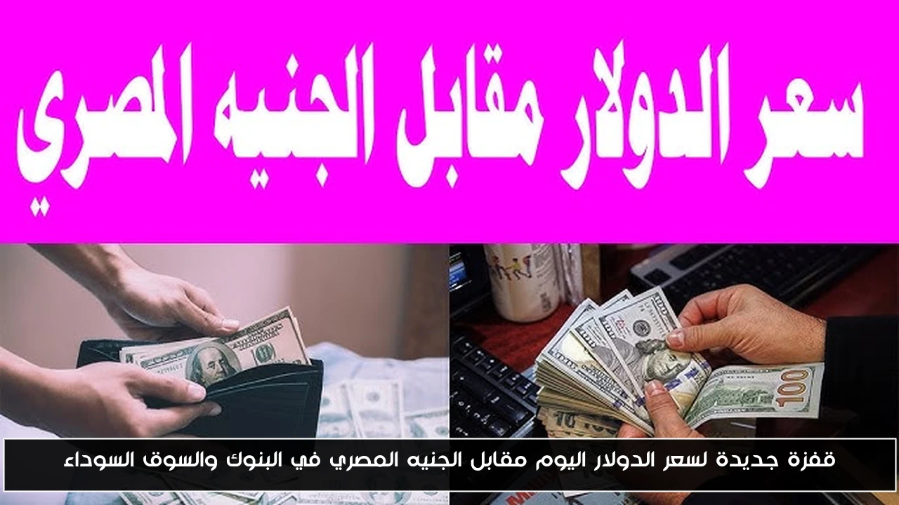 قفزة جديدة لسعر الدولار اليوم مقابل الجنيه المصري في البنوك والسوق السوداء