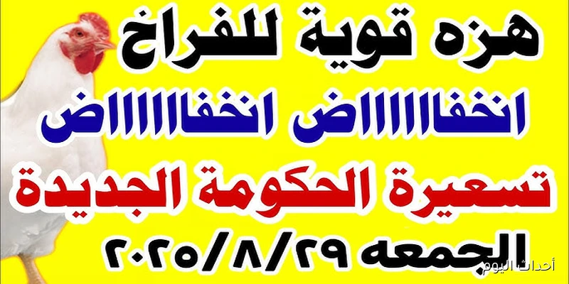 بورصة الدواجن اليوم أسعار الفراخ البيضاء بتاريخ 28\8\2025 .. إستقرار تام في الأسعار
