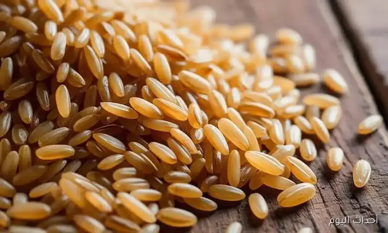 الرز وصل كام؟.. سعر طن الأرز الشعير اليوم في مصر الخميس 21 اغسطس 2025