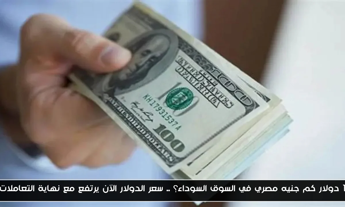 1 دولار كم جنيه مصري في السوق السوداء؟ .. سعر الدولار الآن يرتفع مع نهاية التعاملات