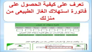 الاستعلام عن فاتورة الغاز بتروتريد