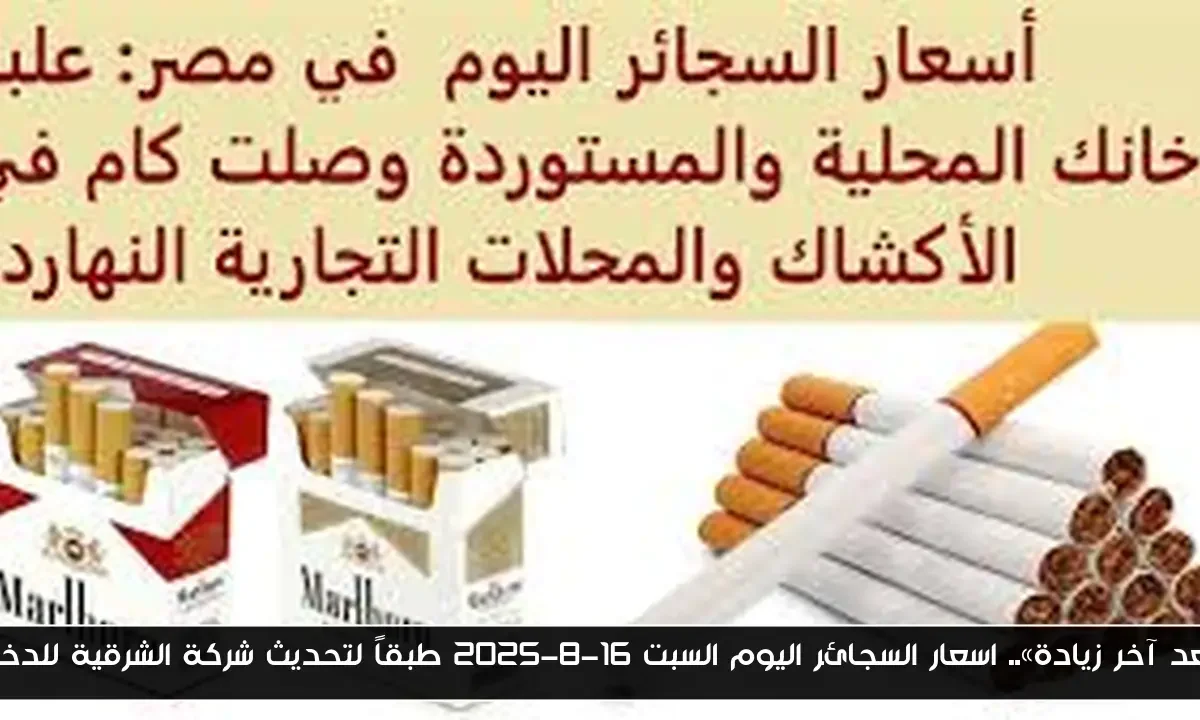 «بعد آخر زيادة».. اسعار السجائر اليوم السبت 16-8-2025 طبقاً لتحديث شركة الشرقية للدخان