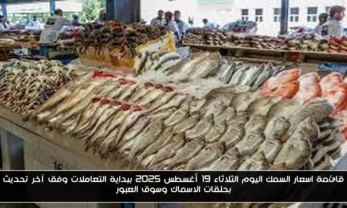 قائمة اسعار السمك اليوم الثلاثاء 19 أغسطس 2025 ببداية التعاملات وفق آخر تحديث بحلقات الاسماك وسوق العبور