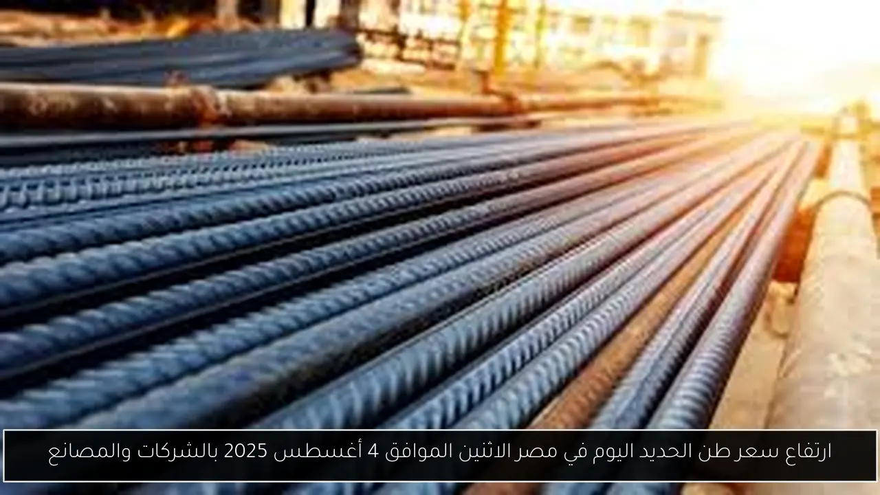 سعر طن الحديد اليوم في مصر