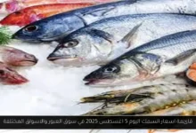 اسعار السمك اليوم