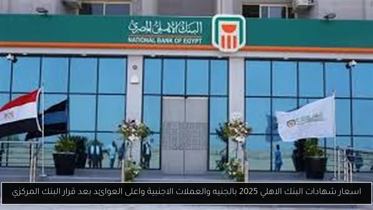 اسعار شهادات البنك الاهلي