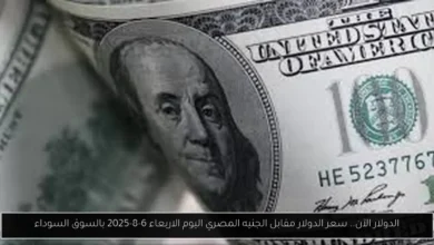 سعر الدولار مقابل الجنيه المصري