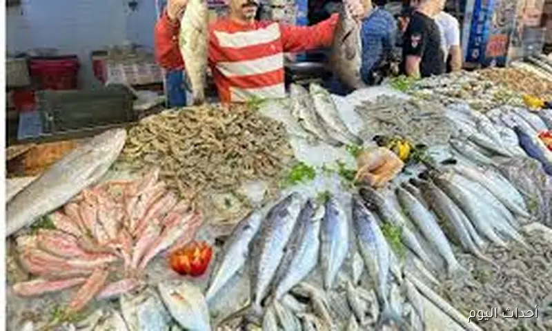 اسعار السمك اليوم الجمعه 22 اغسطس 2025 وفق آخر تحديث صادر عن حلقات الاسماك واسواق الجمله