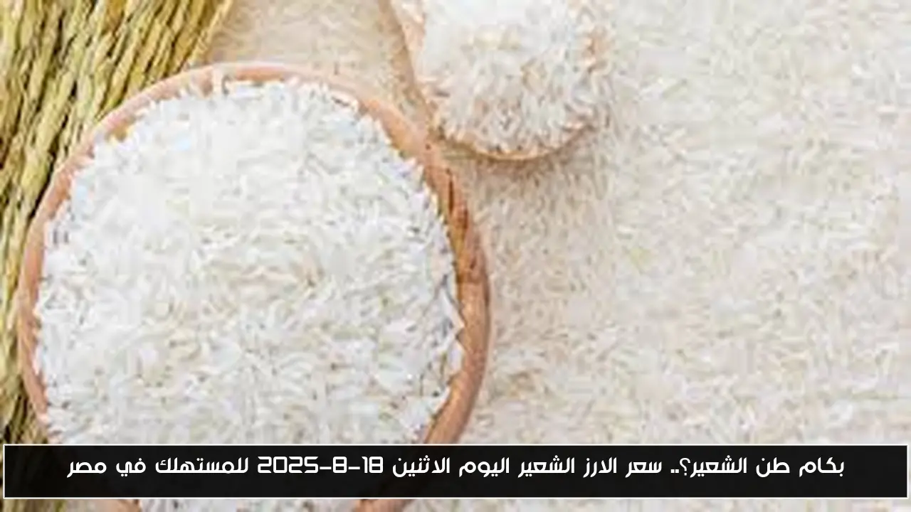 بكام طن الشعير؟.. سعر الارز الشعير اليوم الاثنين 18-8-2025 للمستهلك في مصر
