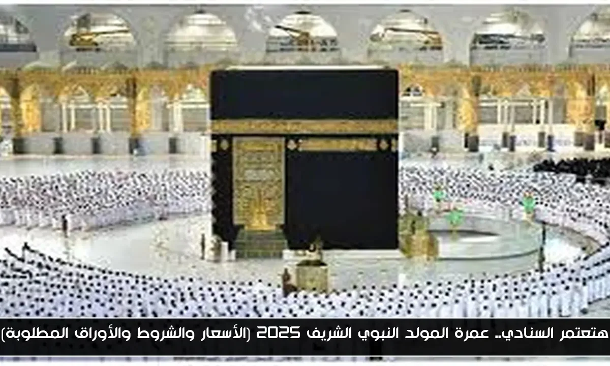 هتعتمر السنادي.. عمرة المولد النبوي الشريف 2025 (الأسعار والشروط والأوراق المطلوبة)