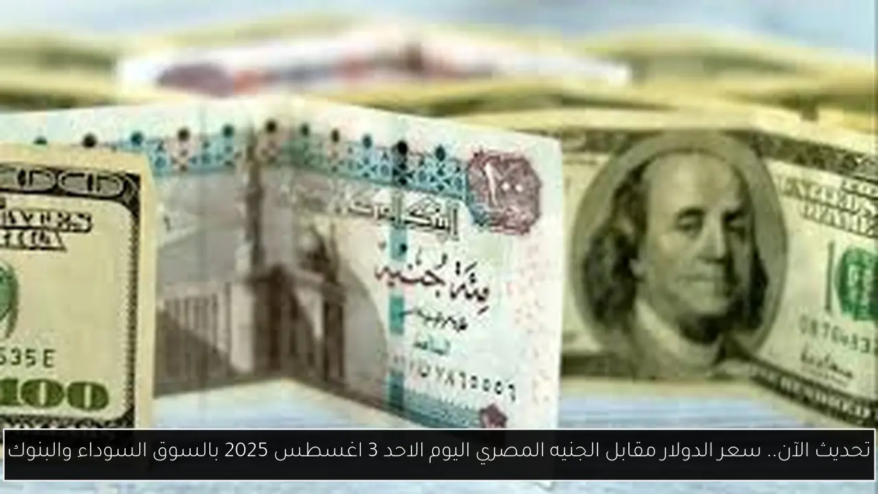سعر الدولار مقابل الجنيه المصري