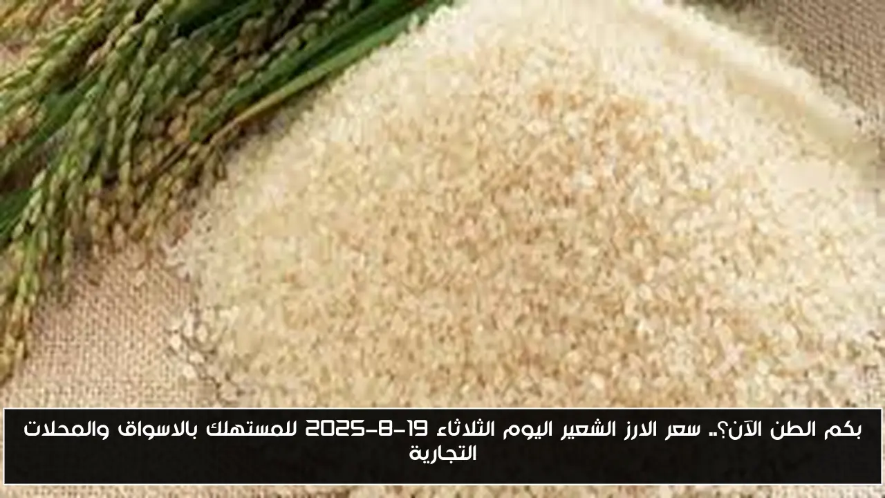 بكم الطن الآن؟.. سعر الارز الشعير اليوم الثلاثاء 19-8-2025 للمستهلك بالاسواق والمحلات التجارية