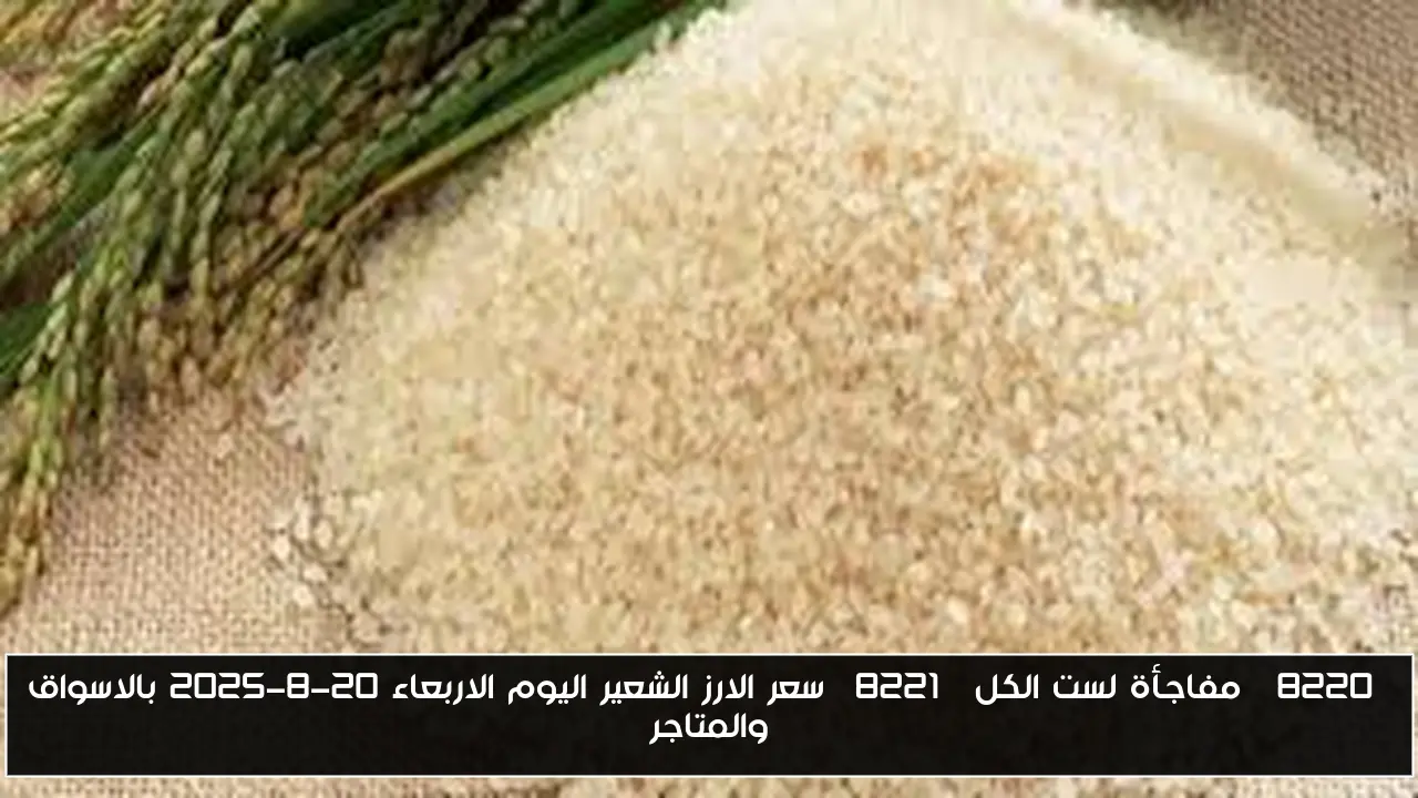 “مفاجأة لست الكل” سعر الارز الشعير اليوم الاربعاء 20-8-2025 بالاسواق والمتاجر