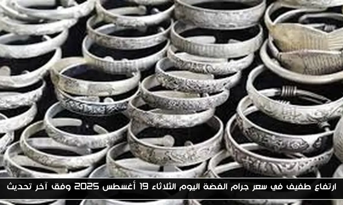 ارتفاع طفيف في سعر جرام الفضة اليوم الثلاثاء 19 أغسطس 2025 وفق آخر تحديث