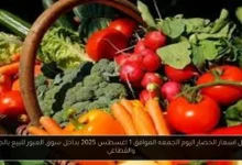 جدول اسعار الخضار اليوم