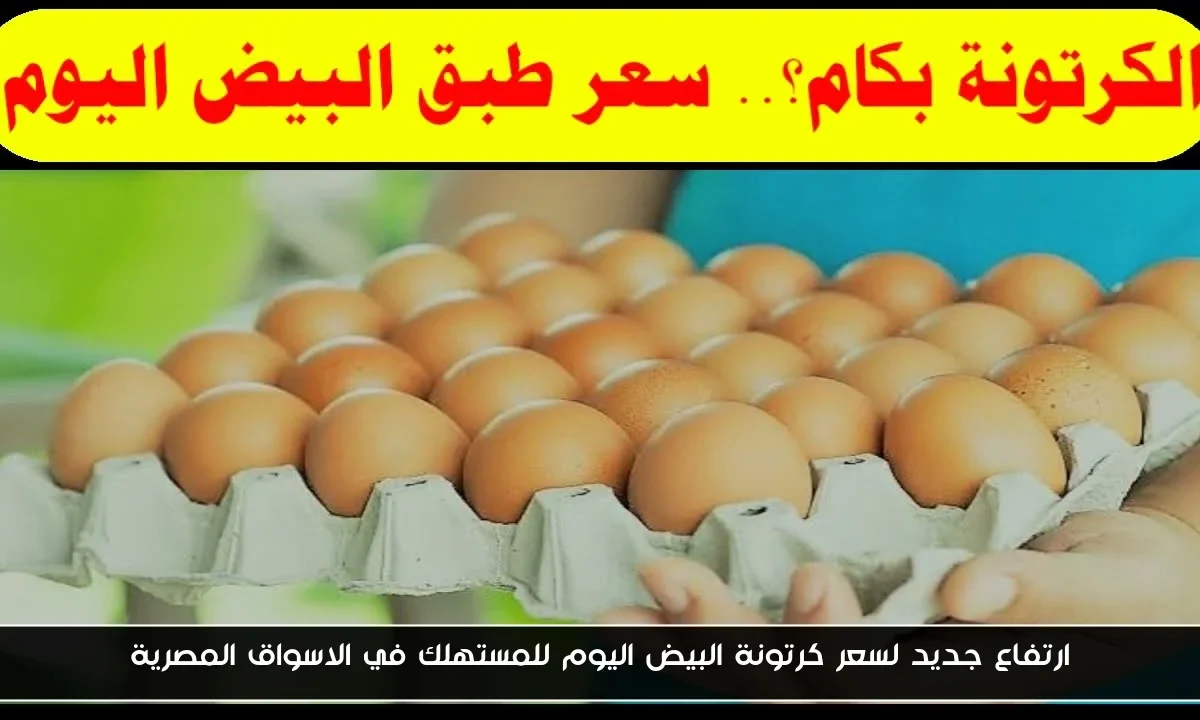 ارتفاع جديد لسعر كرتونة البيض اليوم للمستهلك في الاسواق المصرية
