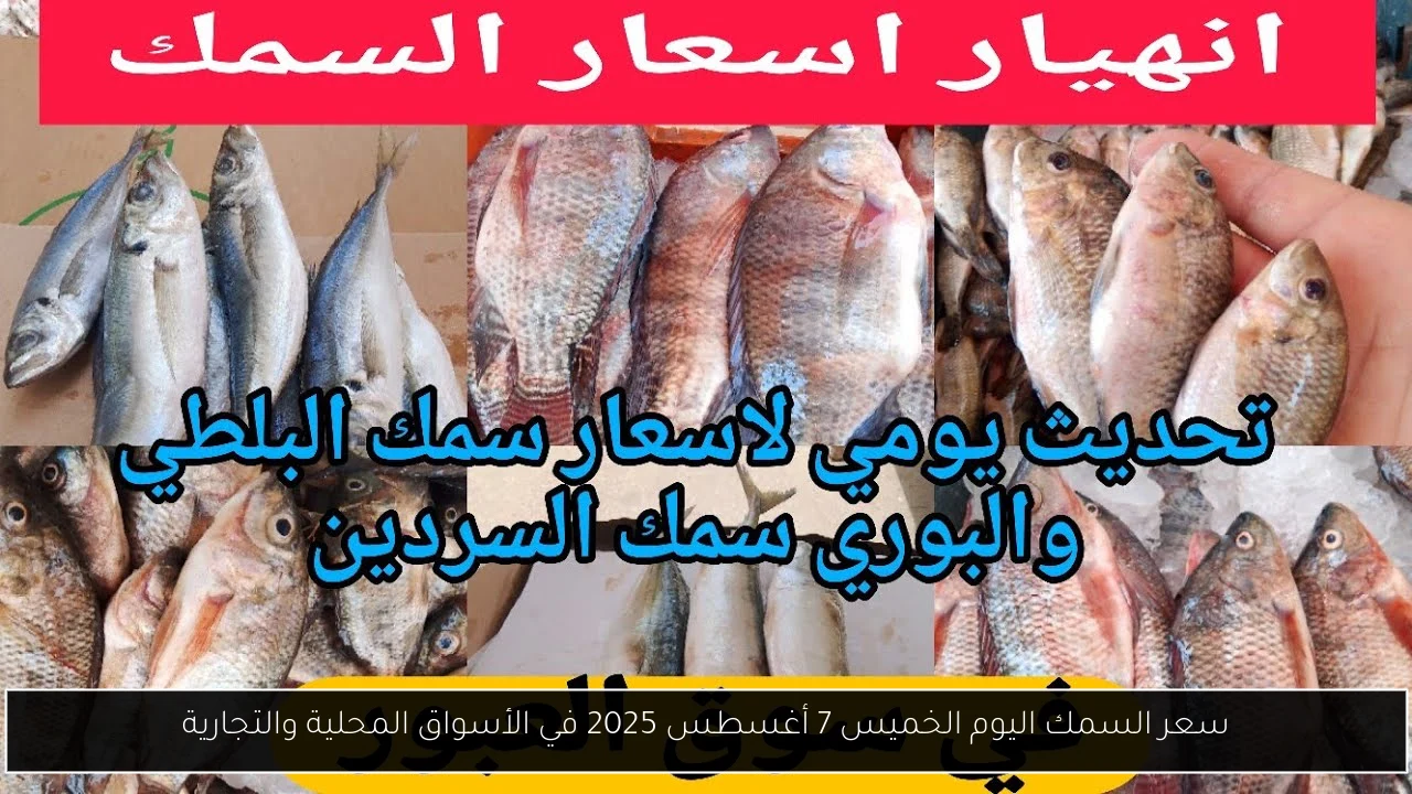 سعر السمك اليوم