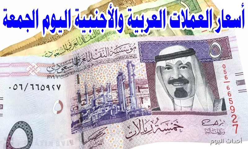 ارتفاع أسعار العملات في السوق السوداء في مصر.. الأسباب والتغييرات المؤثرة على الجنية