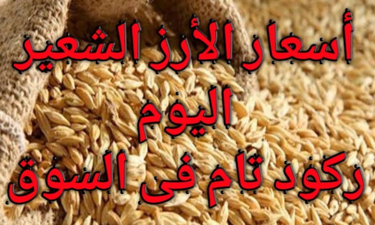 بالطن والكيلو.. سعر الارز الشعير اليوم السبت 9 أغسطس 2025 في السوق المصري وأسعار المنتجات الغذائية الأخرى