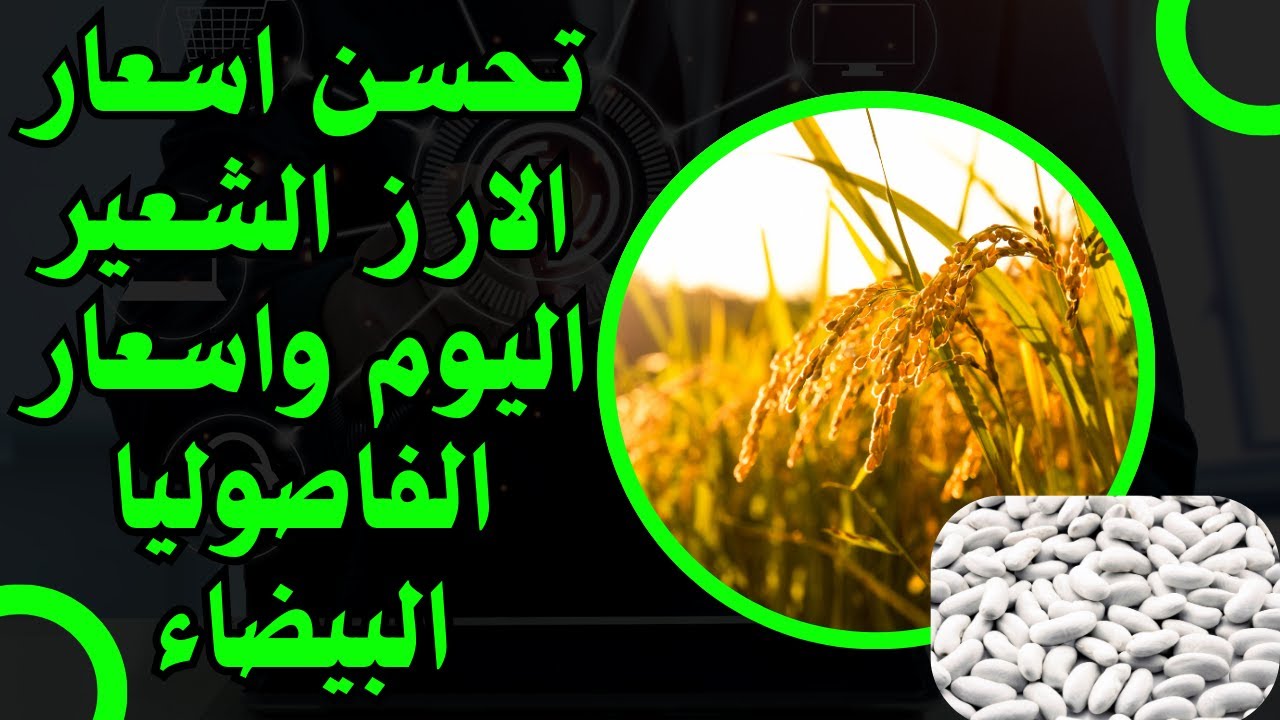 سعر الارز الشعير اليوم