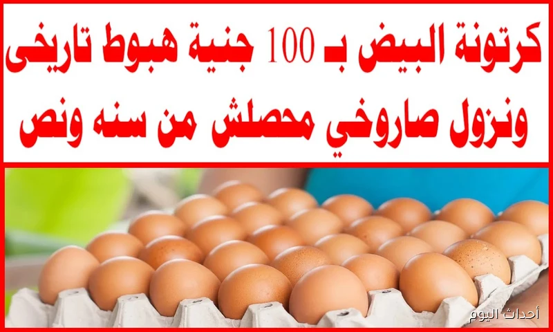 “أحمر وأبيض” سعر كرتونة البيض اليوم الخميس 21-8-2025 للمستهلك في مصر