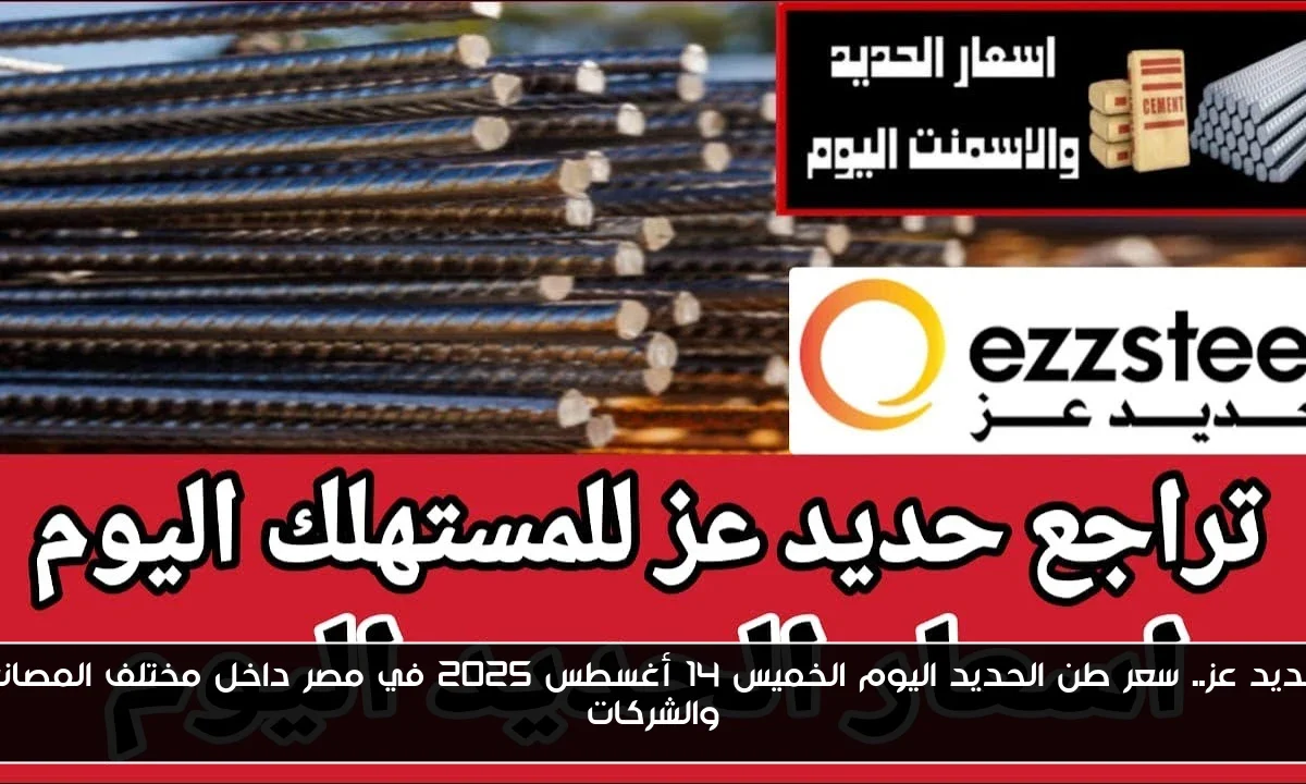 حديد عز.. سعر طن الحديد اليوم الخميس 14 أغسطس 2025 في مصر داخل مختلف المصانع والشركات