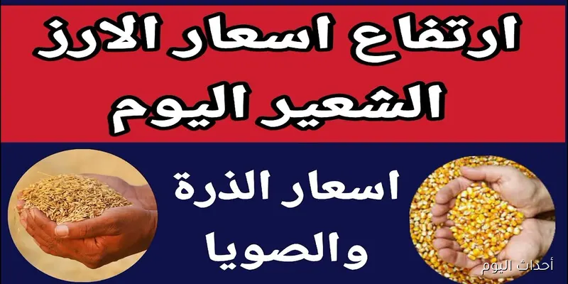 سعر الأرز الشعير اليوم الثلاثاء 26 أغسطس 2025 للمستهلك والتاجر في مصر
