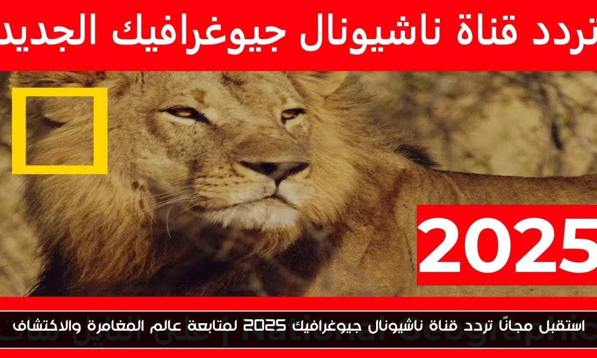 استقبل مجانًا تردد قناة ناشيونال جيوغرافيك 2025 لمتابعة عالم المغامرة والاكتشاف