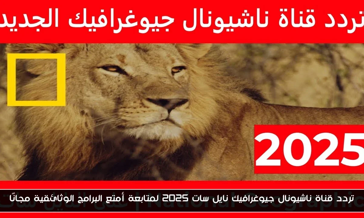 تردد قناة ناشيونال جيوغرافيك نايل سات 2025 لمتابعة أمتع البرامج الوثائقية مجانًا