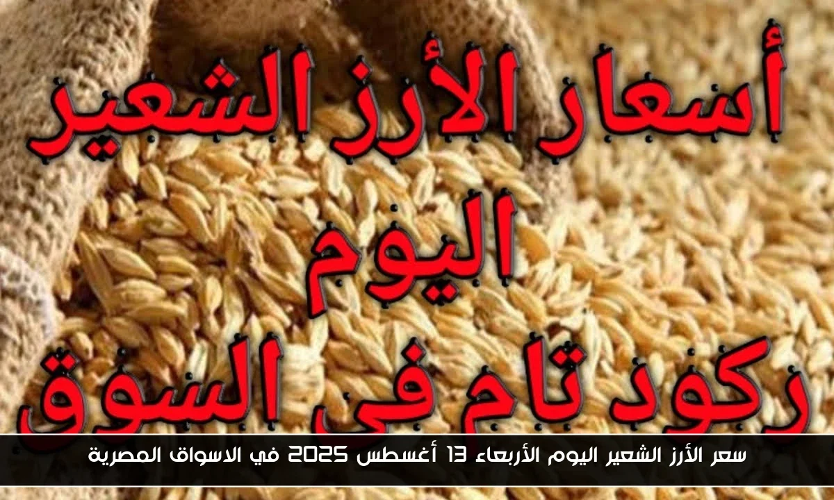 سعر الأرز الشعير اليوم الأربعاء 13 أغسطس 2025 في الاسواق المصرية