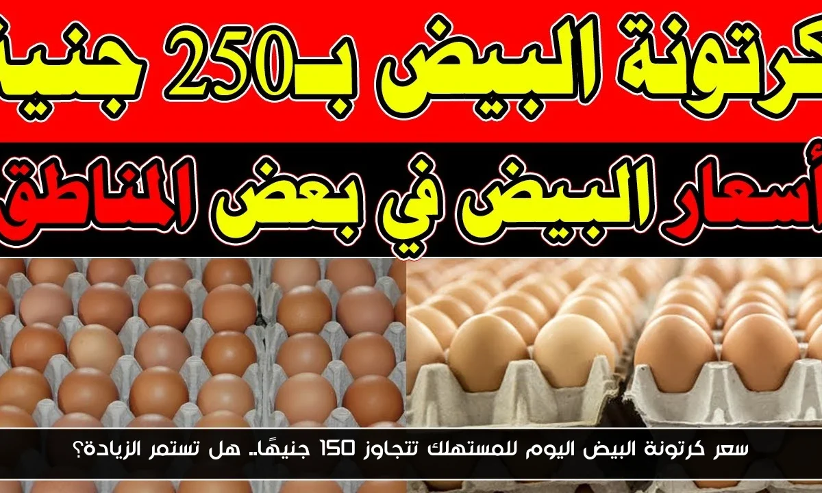 سعر كرتونة البيض اليوم للمستهلك تتجاوز 150 جنيهًا.. هل تستمر الزيادة؟