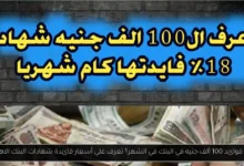 كم فوائد 100 ألف جنيه في البنك في الشهر