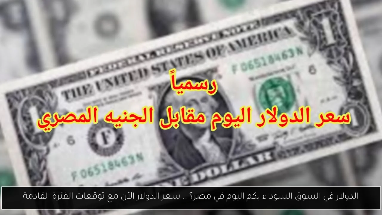 الدولار في السوق السوداء بكم اليوم في مصر؟