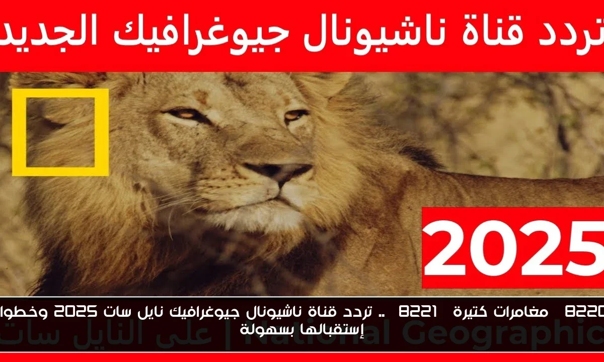 “مغامرات كتيرة” .. تردد قناة ناشيونال جيوغرافيك نايل سات 2025 وخطوات إستقبالها بسهولة