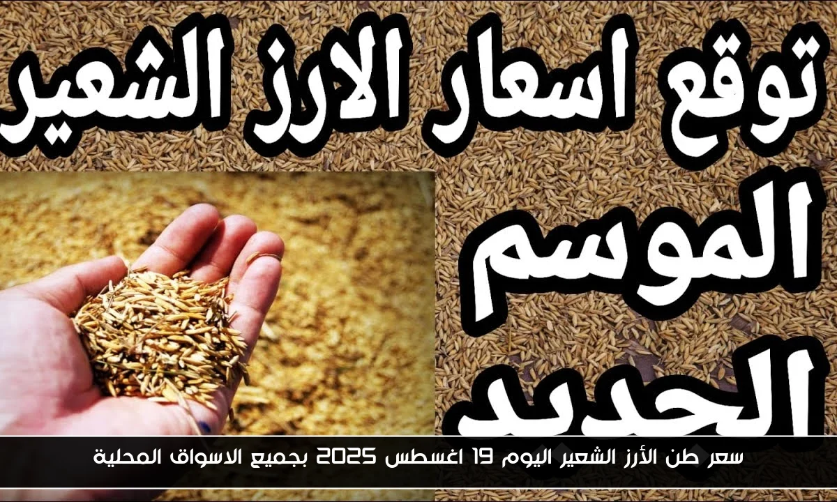 سعر طن الأرز الشعير اليوم 19 اغسطس 2025 بجميع الاسواق المحلية