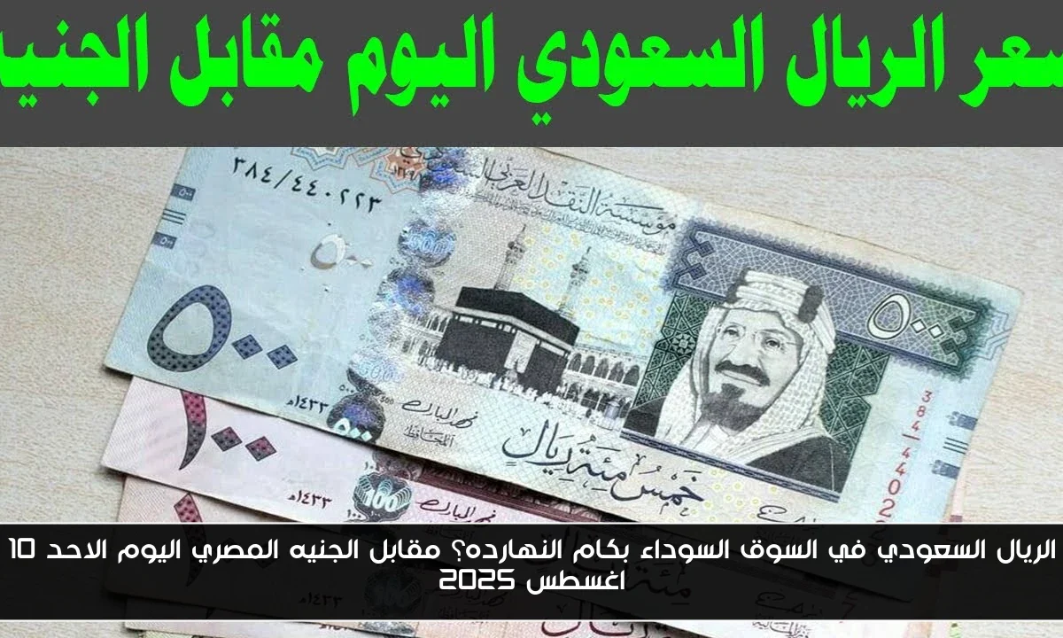 الريال السعودي في السوق السوداء بكام النهارده؟ مقابل الجنيه المصري اليوم الاحد 10 اغسطس 2025