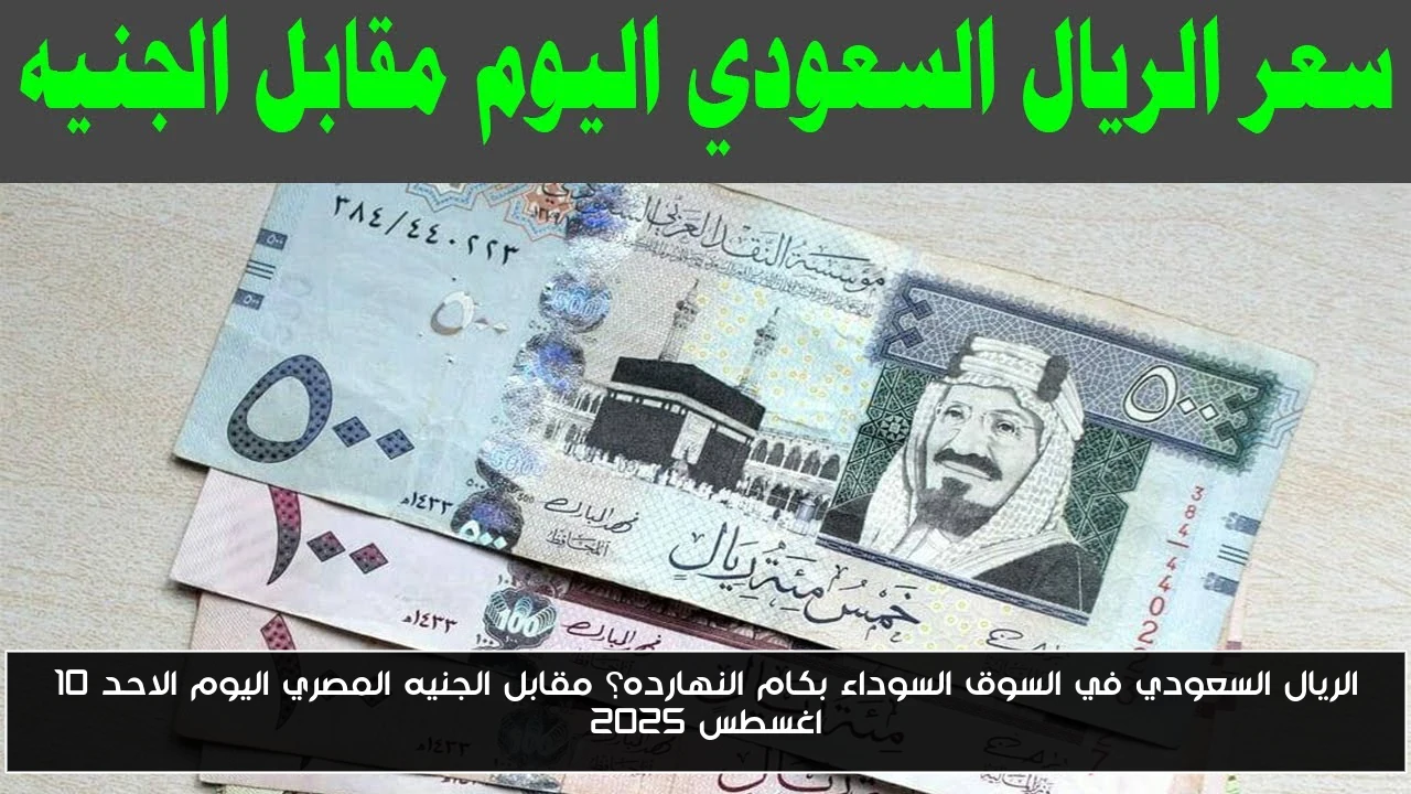 الريال السعودي في السوق السوداء بكام النهارده؟ مقابل الجنيه المصري اليوم الاحد 10 اغسطس 2025
