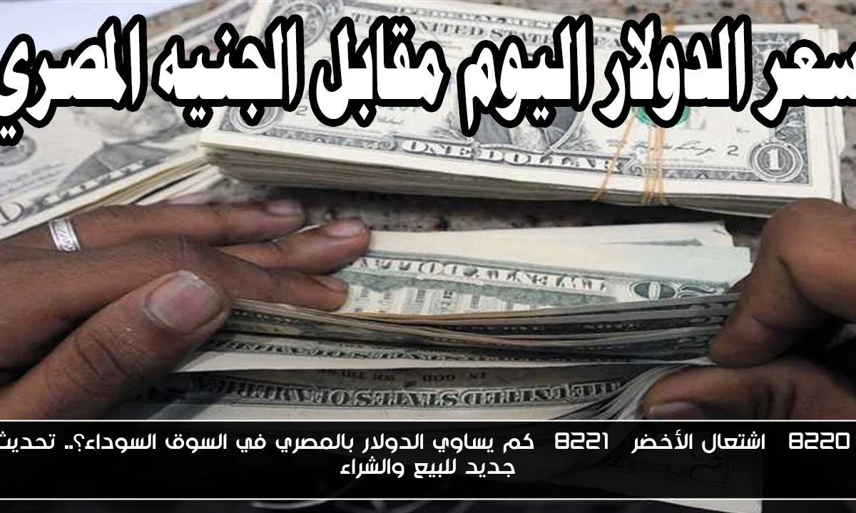 “اشتعال الأخضر” كم يساوي الدولار بالمصري في السوق السوداء؟.. تحديث جديد للبيع والشراء