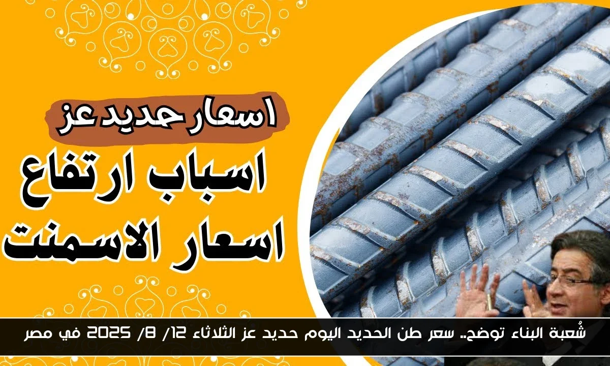 شُعبة البناء توضح.. سعر طن الحديد اليوم حديد عز الثلاثاء 12/ 8/ 2025 في مصر