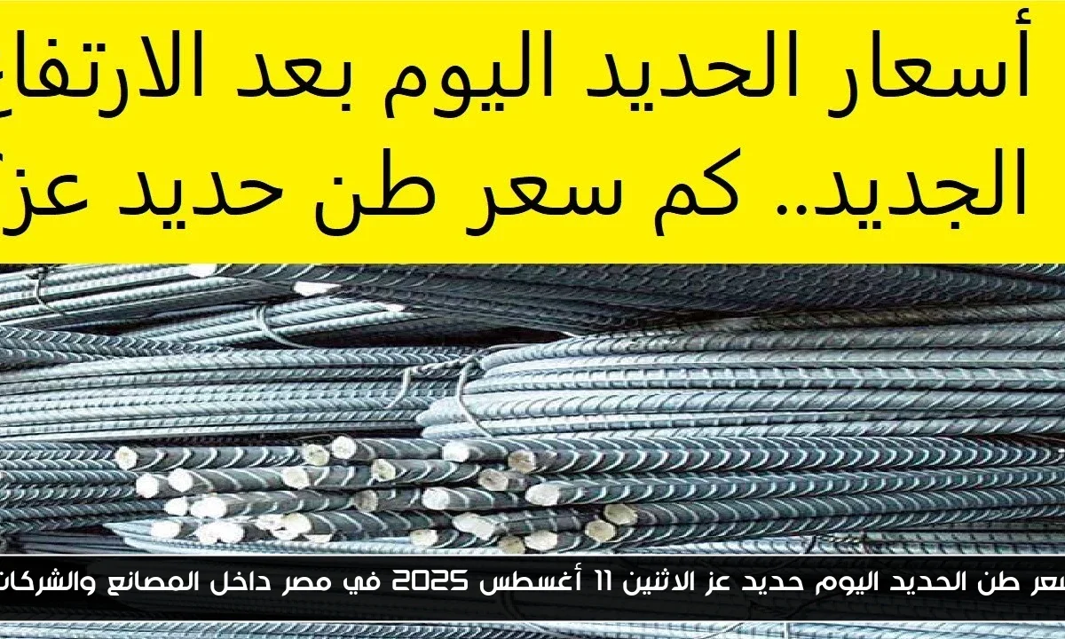 سعر طن الحديد اليوم حديد عز الاثنين 11 أغسطس 2025 في مصر داخل المصانع والشركات