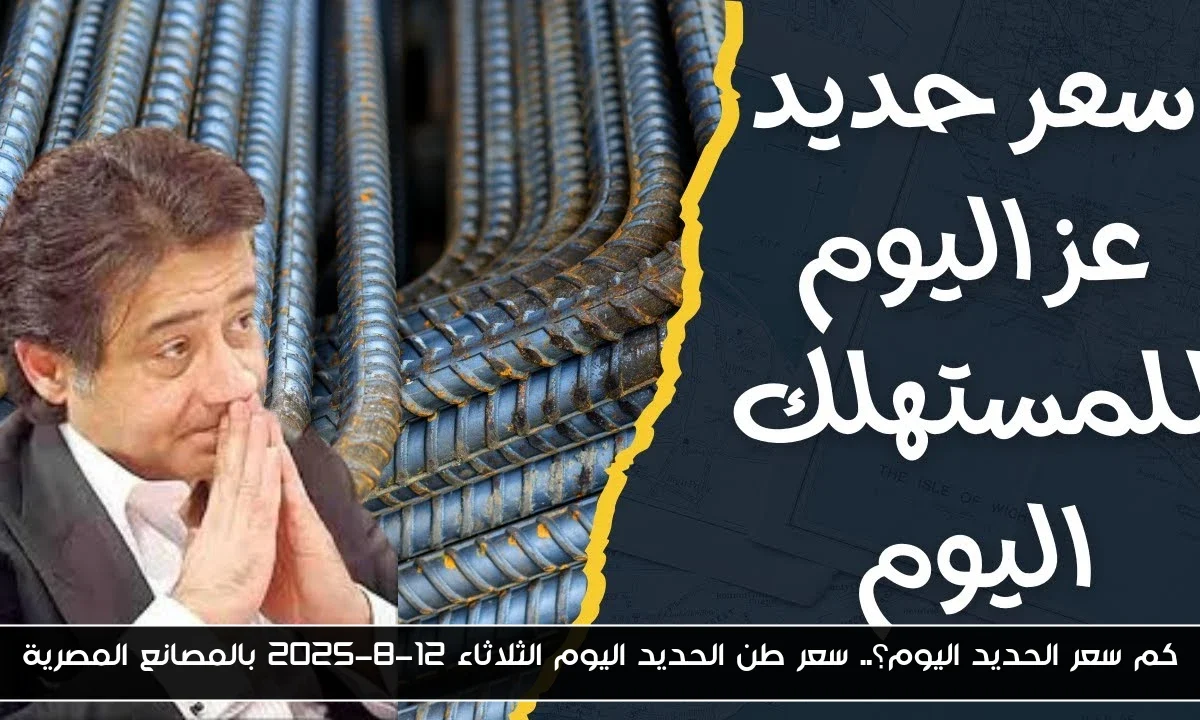 كم سعر الحديد اليوم؟.. سعر طن الحديد اليوم الثلاثاء 12-8-2025 بالمصانع المصرية