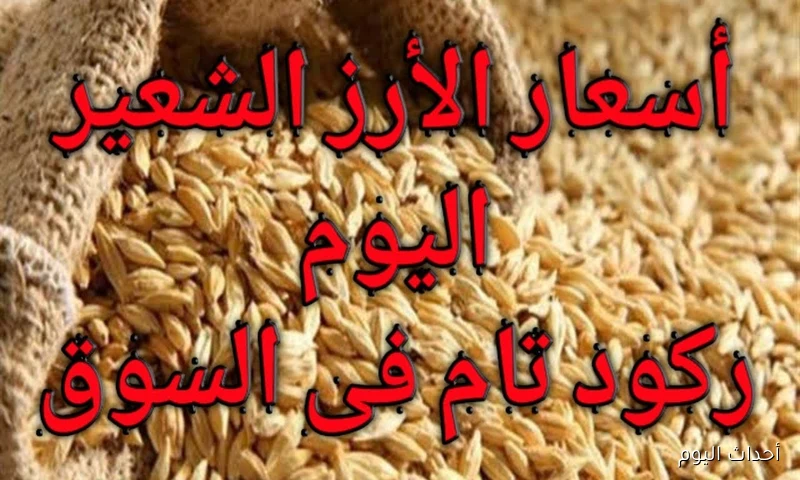 الطن بكام؟ سعر الأرز الشعير اليوم الخميس 21 أغسطس 2025 في الأسواق المصرية